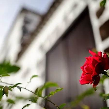 Kır Evi Rural Jardines De Milano (adults Only) *